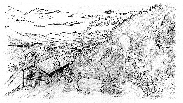 Forest on a hill