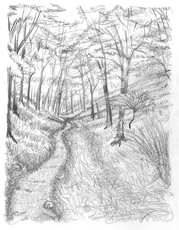 Path in the Woods